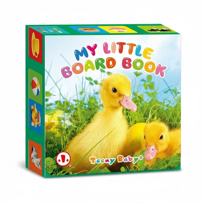 Baby Colorful Pattern Card Books — Interactive Sensory Toy & Early Education Reading Gift for Newborns & Toddlers - Babytopia32
