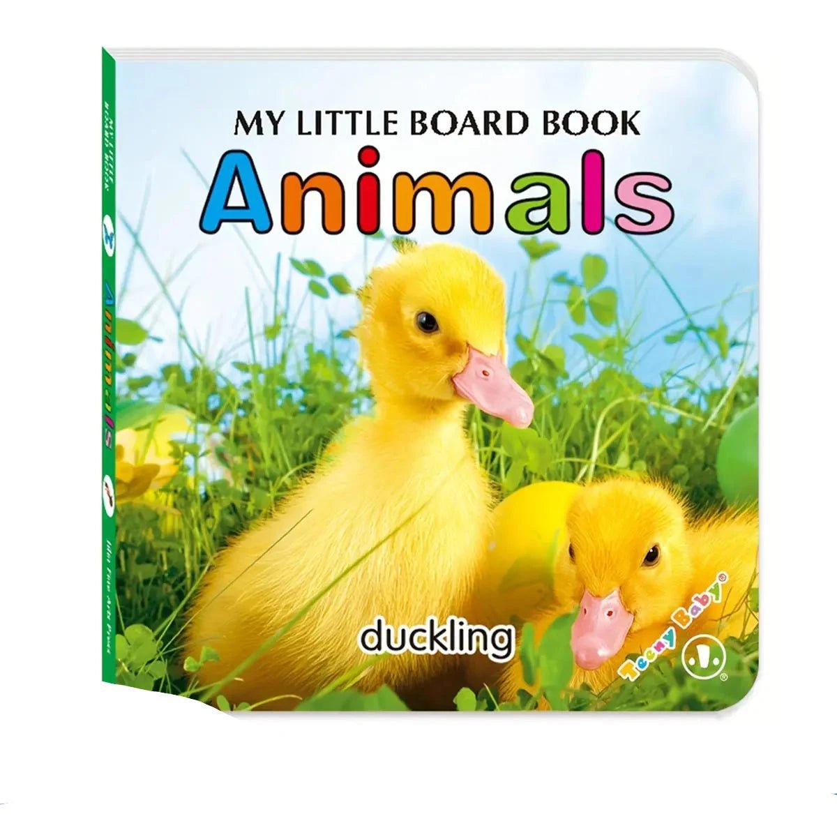 Baby Colorful Pattern Card Books — Interactive Sensory Toy & Early Education Reading Gift for Newborns & Toddlers - Babytopia32