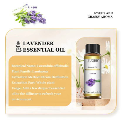EUQEE Pure Natural Essential Oil | 10ml Single Scent | Aromatherapy Grade - Babytopia32